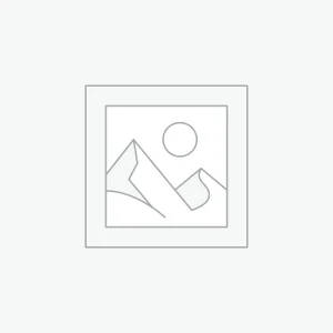 Ivy White-Edged (Hedera helix) 7 cm Pot Outdoor Plant | UK Grown